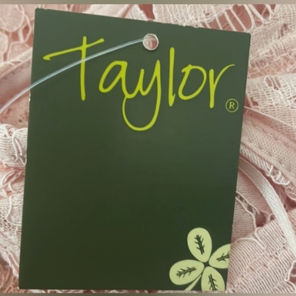 Taylor Green Dress Women Regular Size 14 NBW with Adjustable Bow/Belt - Picture 4 of 8